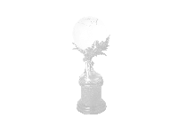 no-image2
